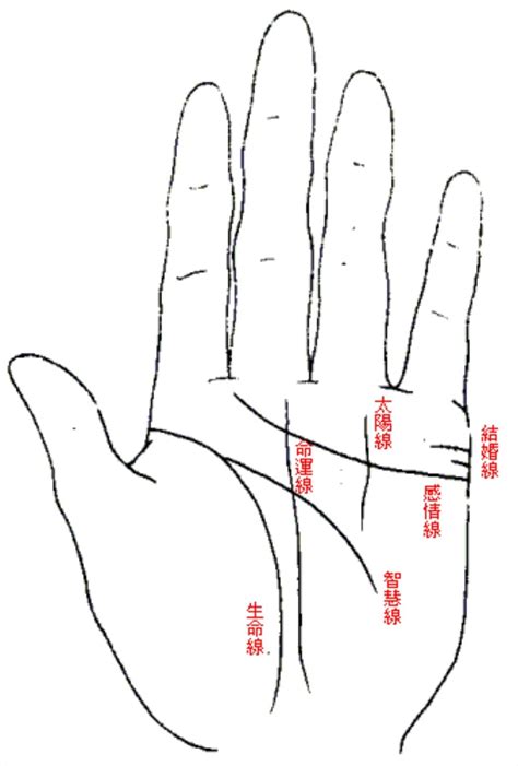 感情線智慧線相連|【手相館】掌紋 (生命線、感情線、智慧線、婚姻線、太陽線、火。